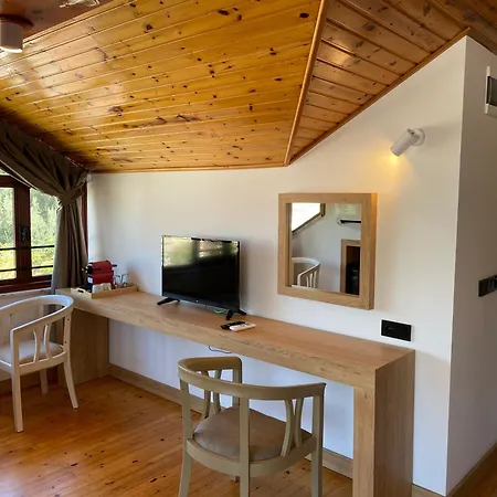 Hotel Casa Vagabundo Boutique - Adults Only